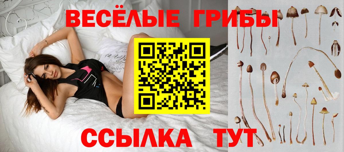 Псилоцибиновые грибы прущие грибы  Вход с VPN  Ульяновск 